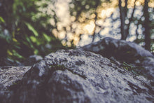 Load image into Gallery viewer, Big Honk&#39;n Test3d